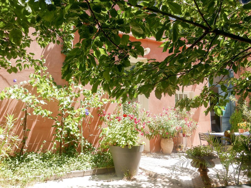 Vieux Port Panier Jardin